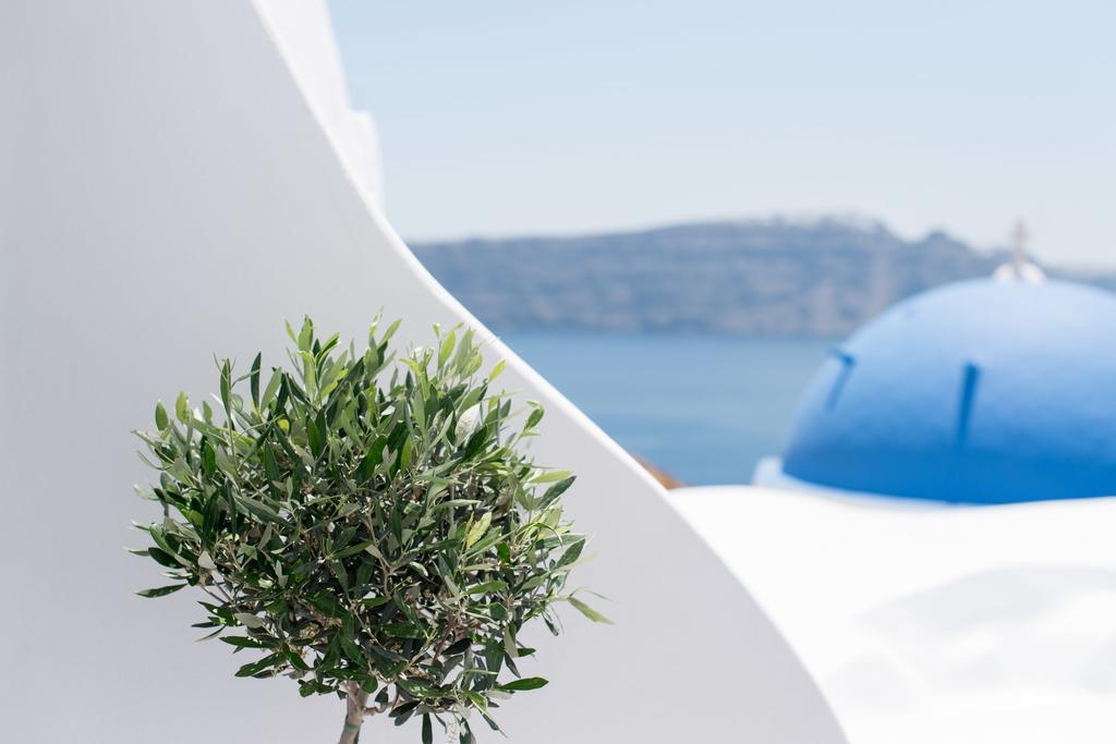 Evmenia Luxury Cave Villa Oia  Exterior foto